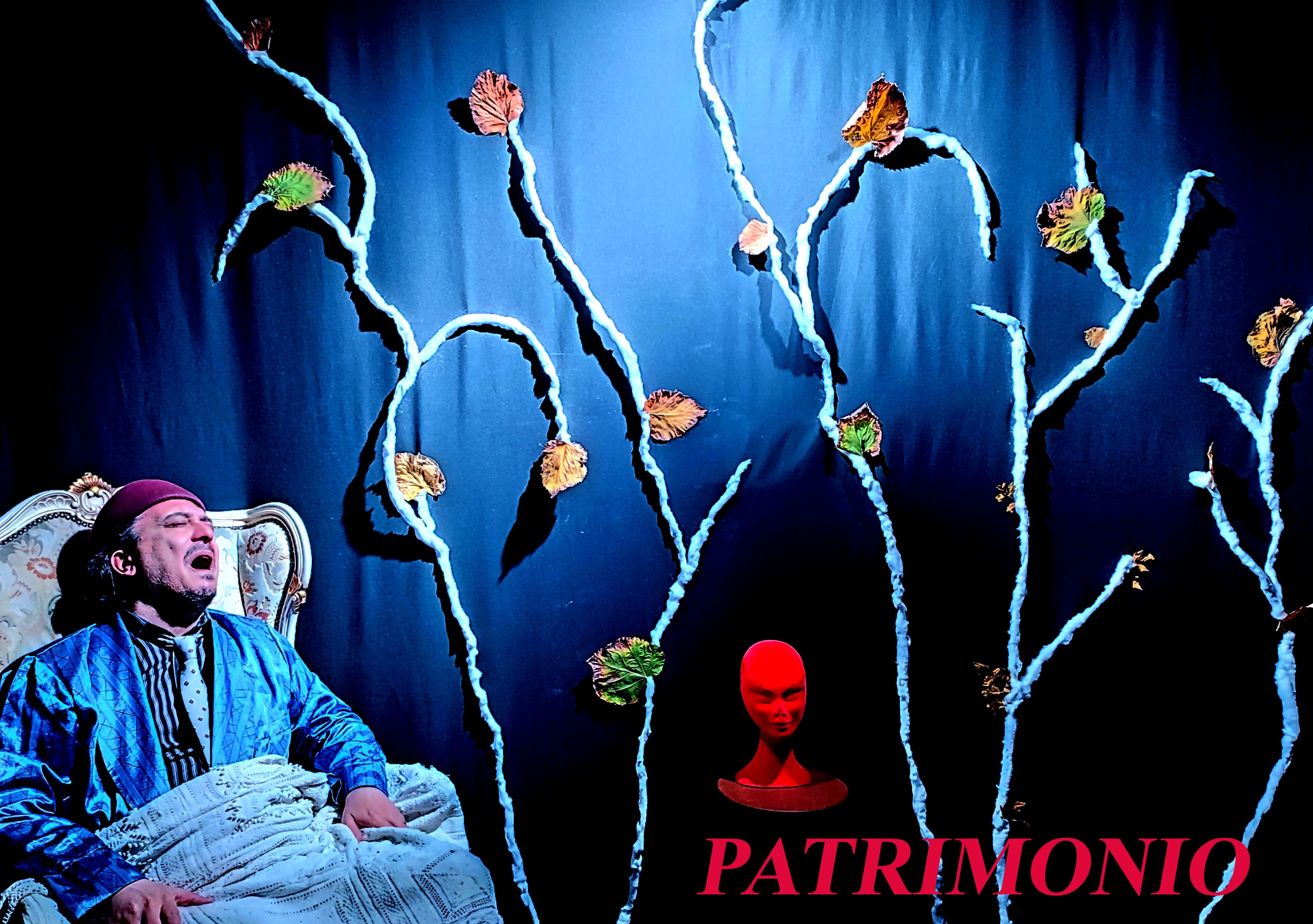 PATRIMONIO-4