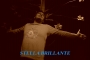 stella-brillante-1